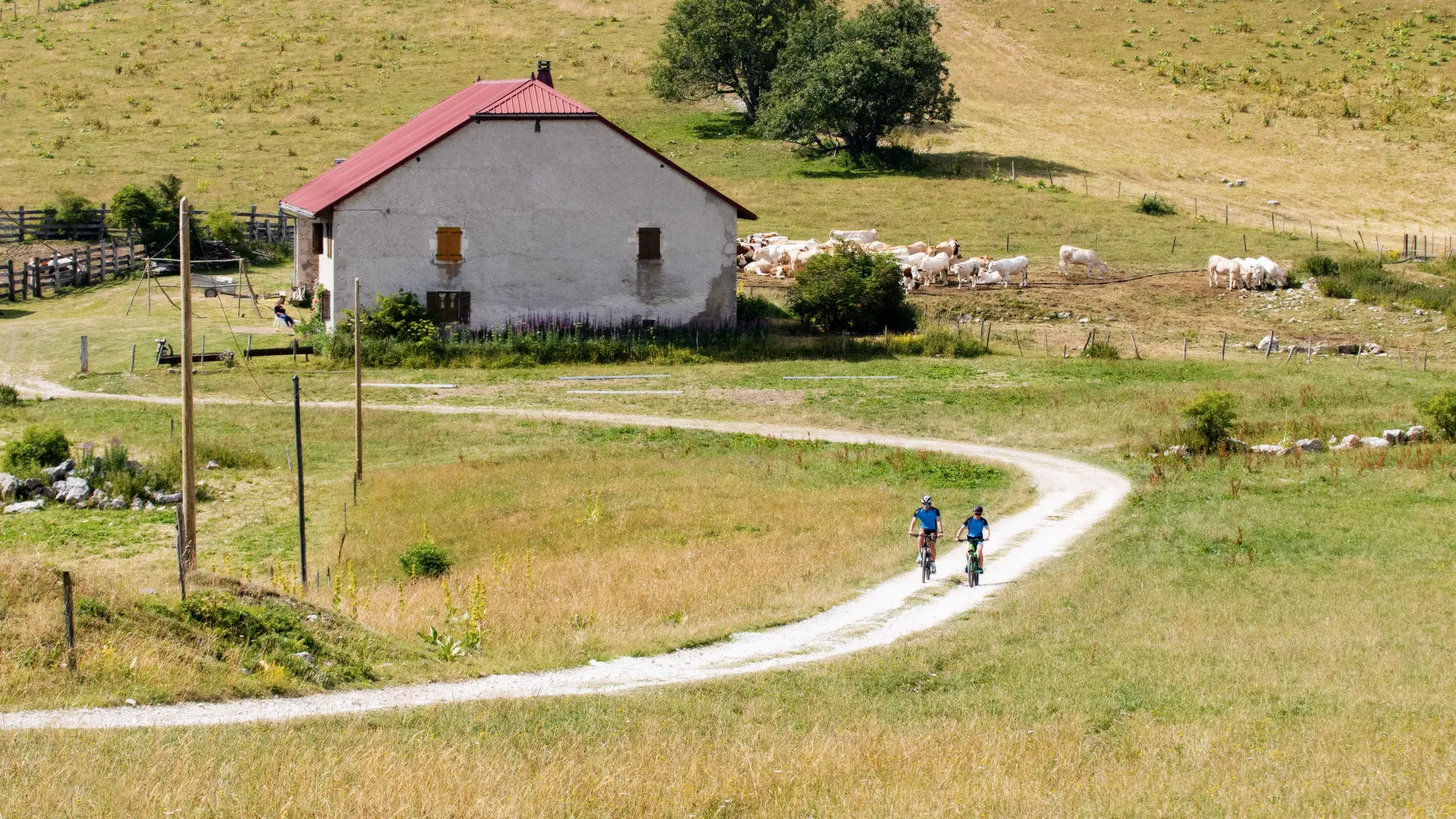 Parcours VTT 15 noir - Le grand tour du plateau de Retord - Espace FFC Ain Forestière_Haut Valromey