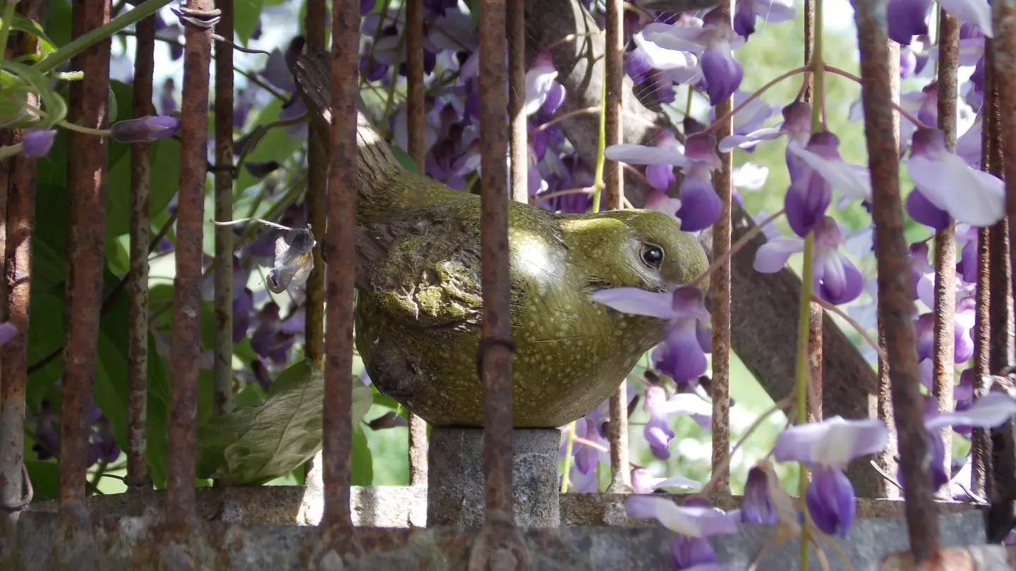 Déco jardin gîte du Couturon