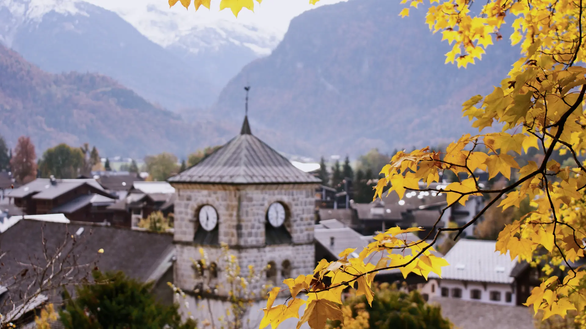Clocher de l'église vu depuis le Jardin botanique