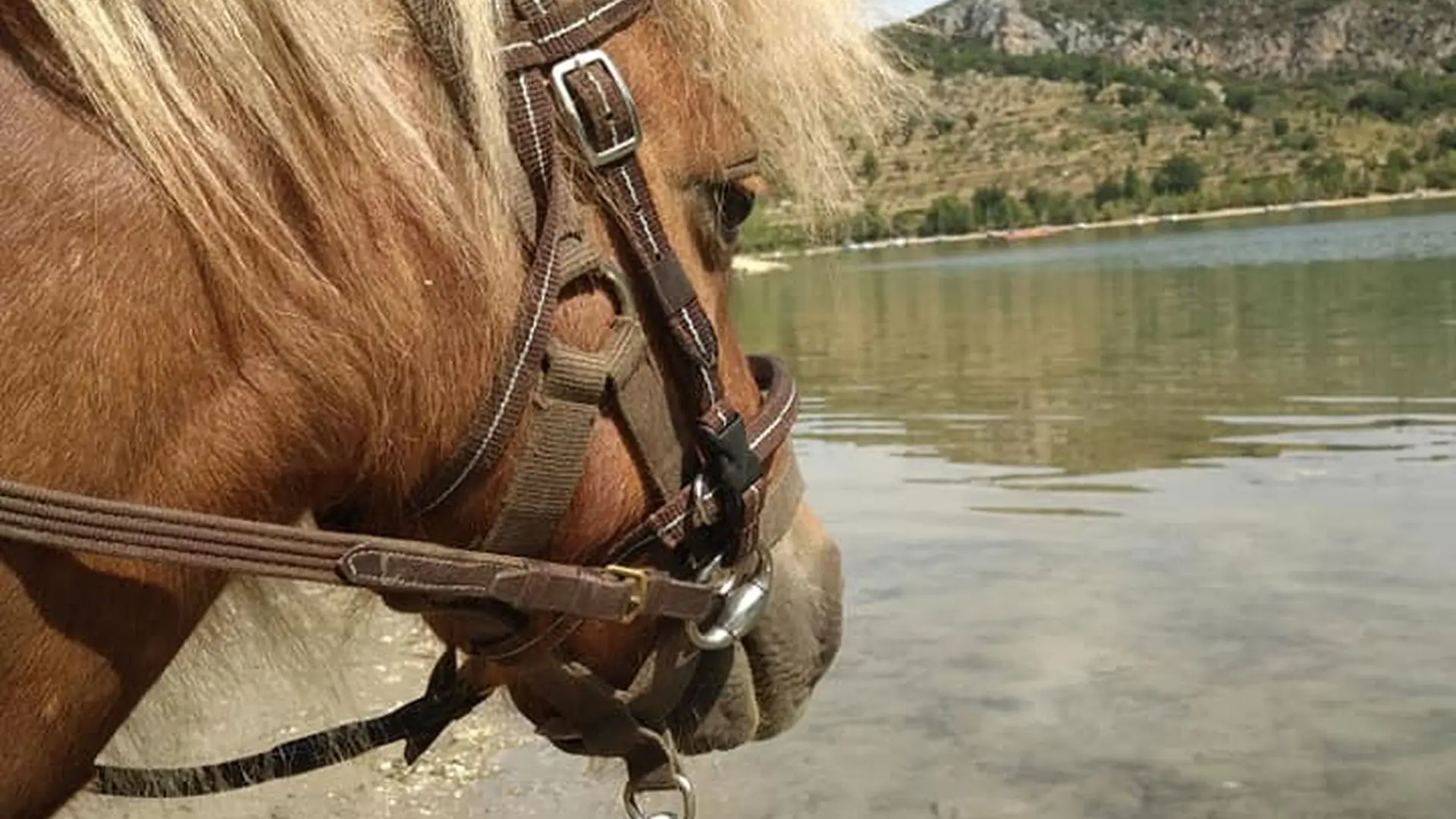 Balade au bord du lac