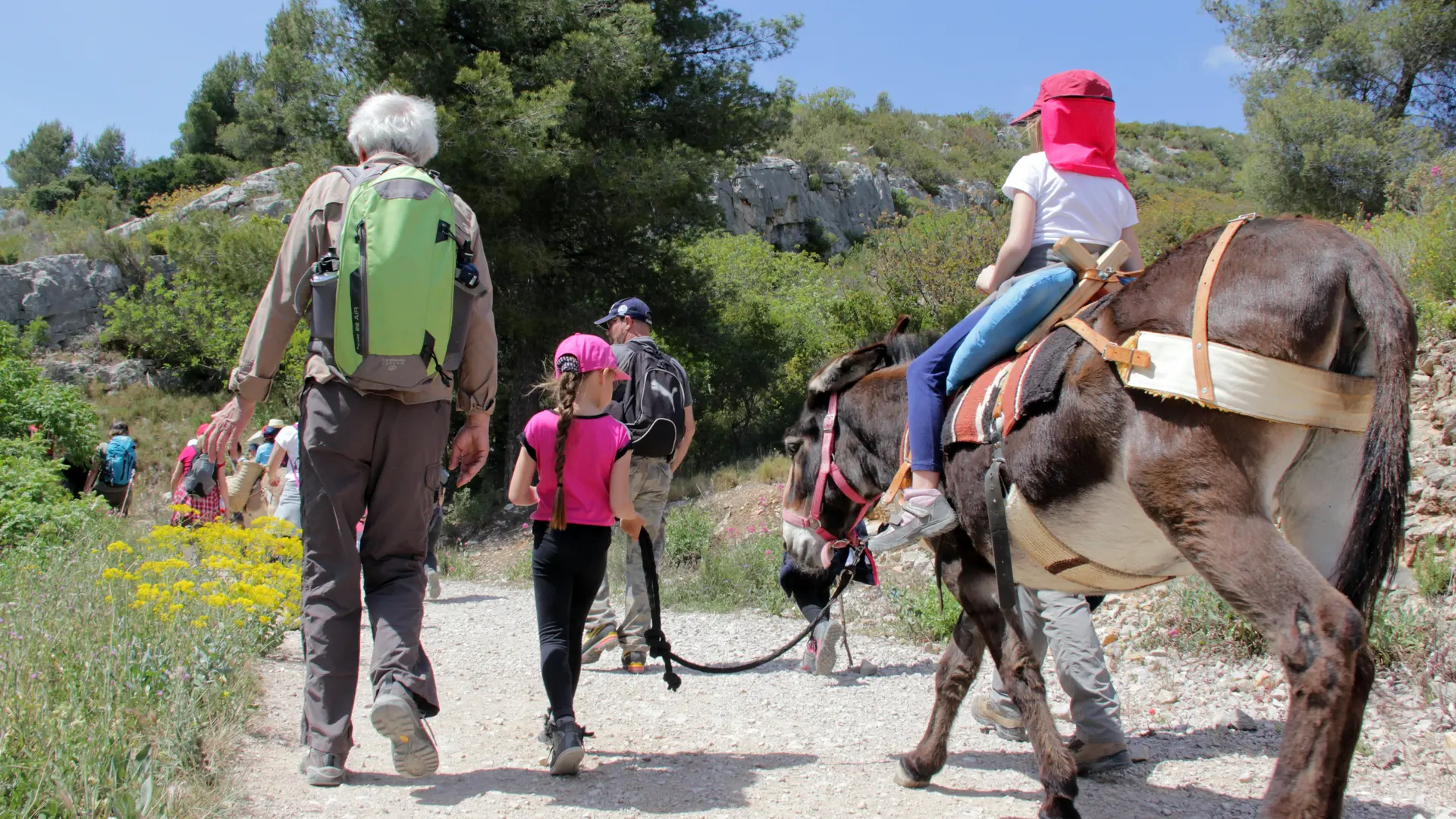 Randonnées Pagnol accompagnés des Ânes de la Font de Mai