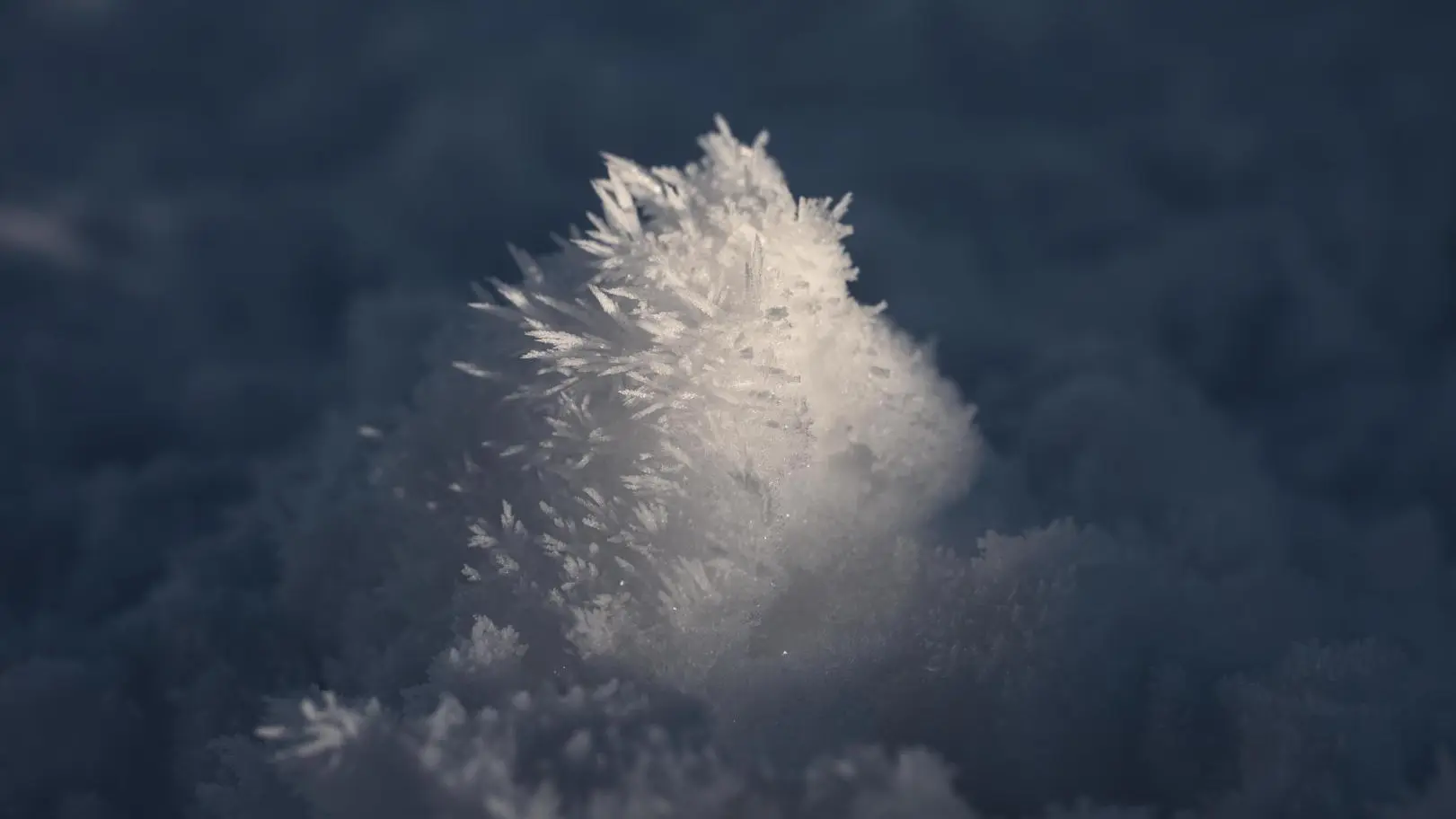 Neige
