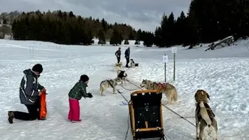 Baptême en traîneau avec Symbiose, chiens polaires