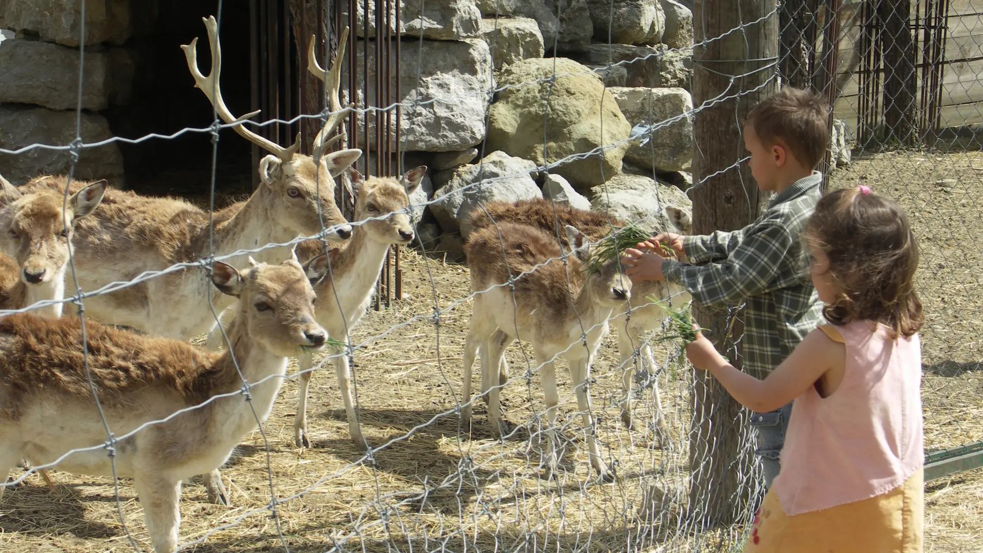 Parc animalier - Rougon