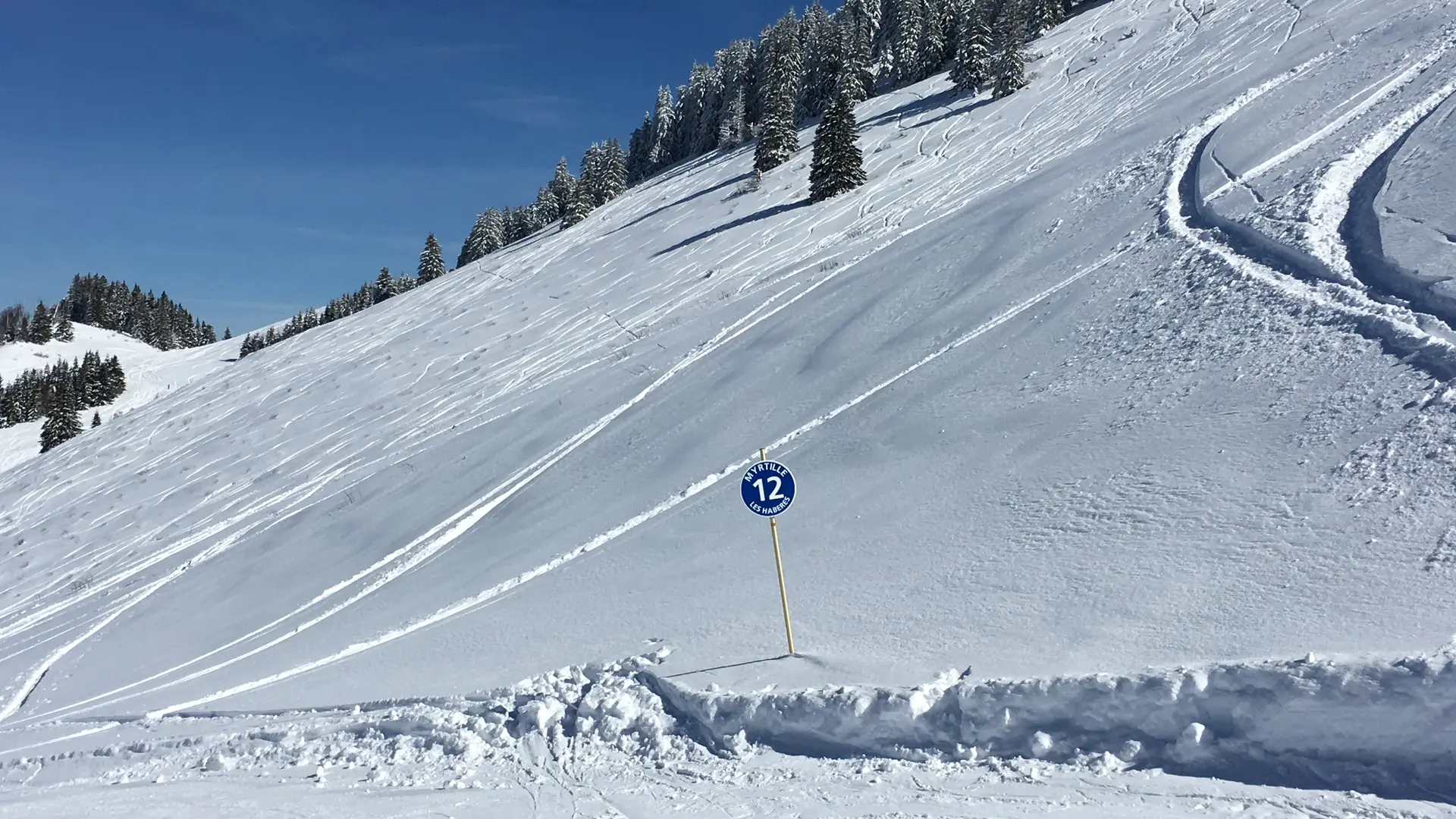 piste bleue les Myryilles