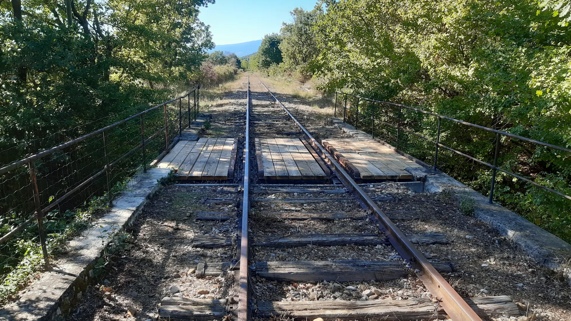 VELORAIL DE HAUTE PROVENCE