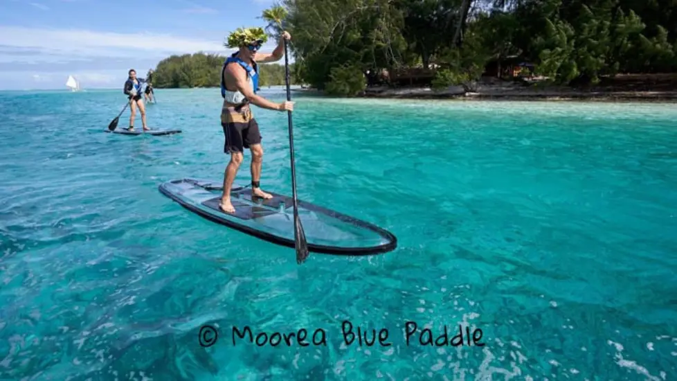 Moorea Blue Paddle & Kayak Transparents