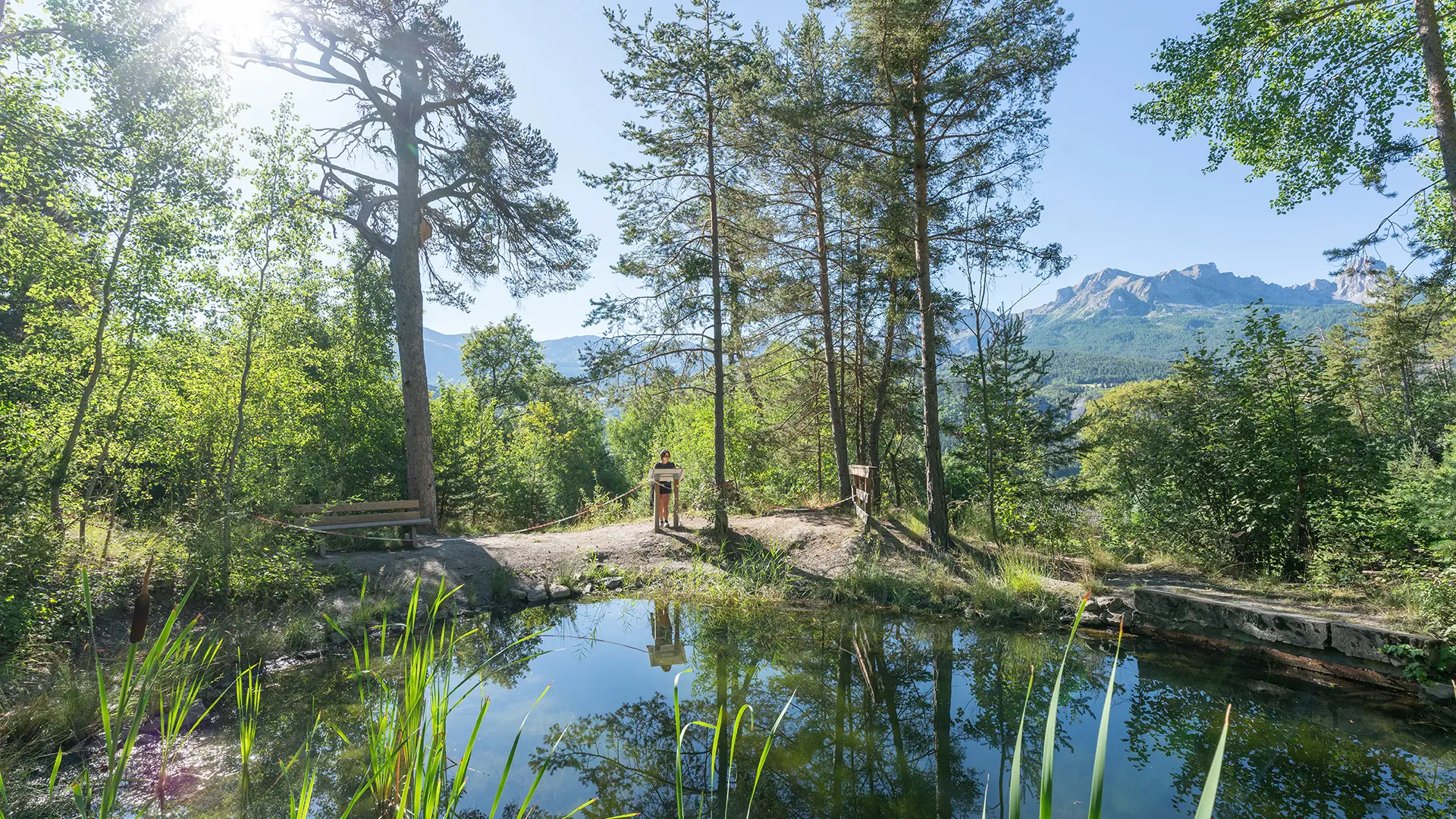 Halte 2 de la Promenade du Verger : La mare