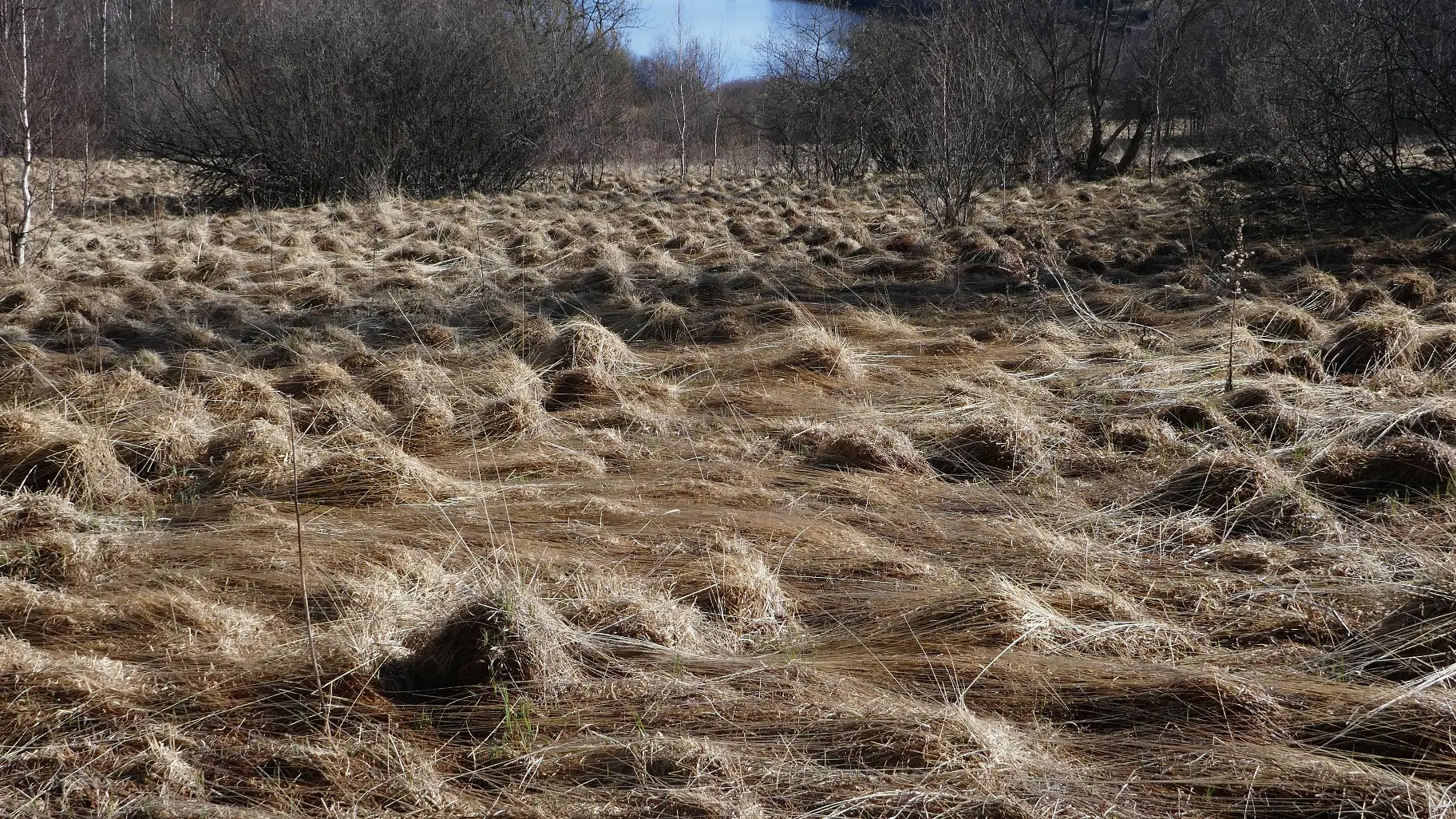 Mouillères Noubals