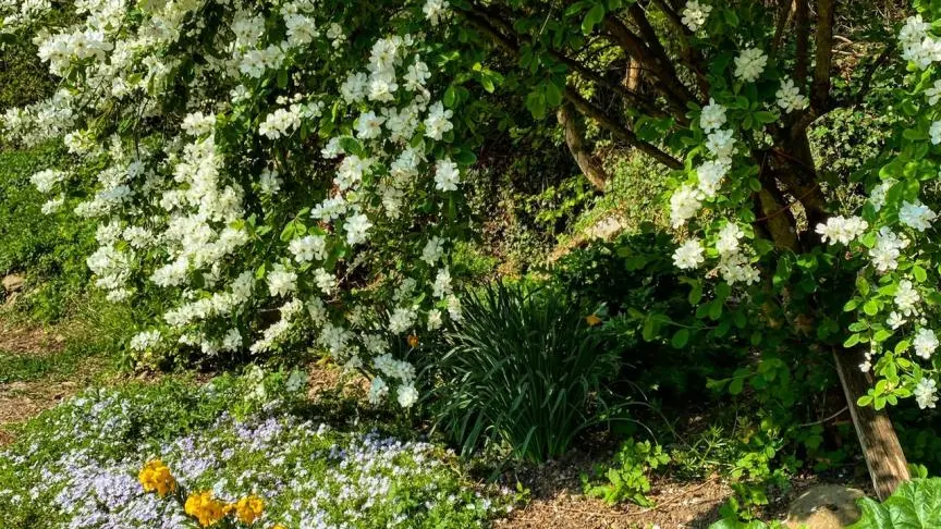 Terrain accessible aux clients des gîtes - de l'autre côté de la route