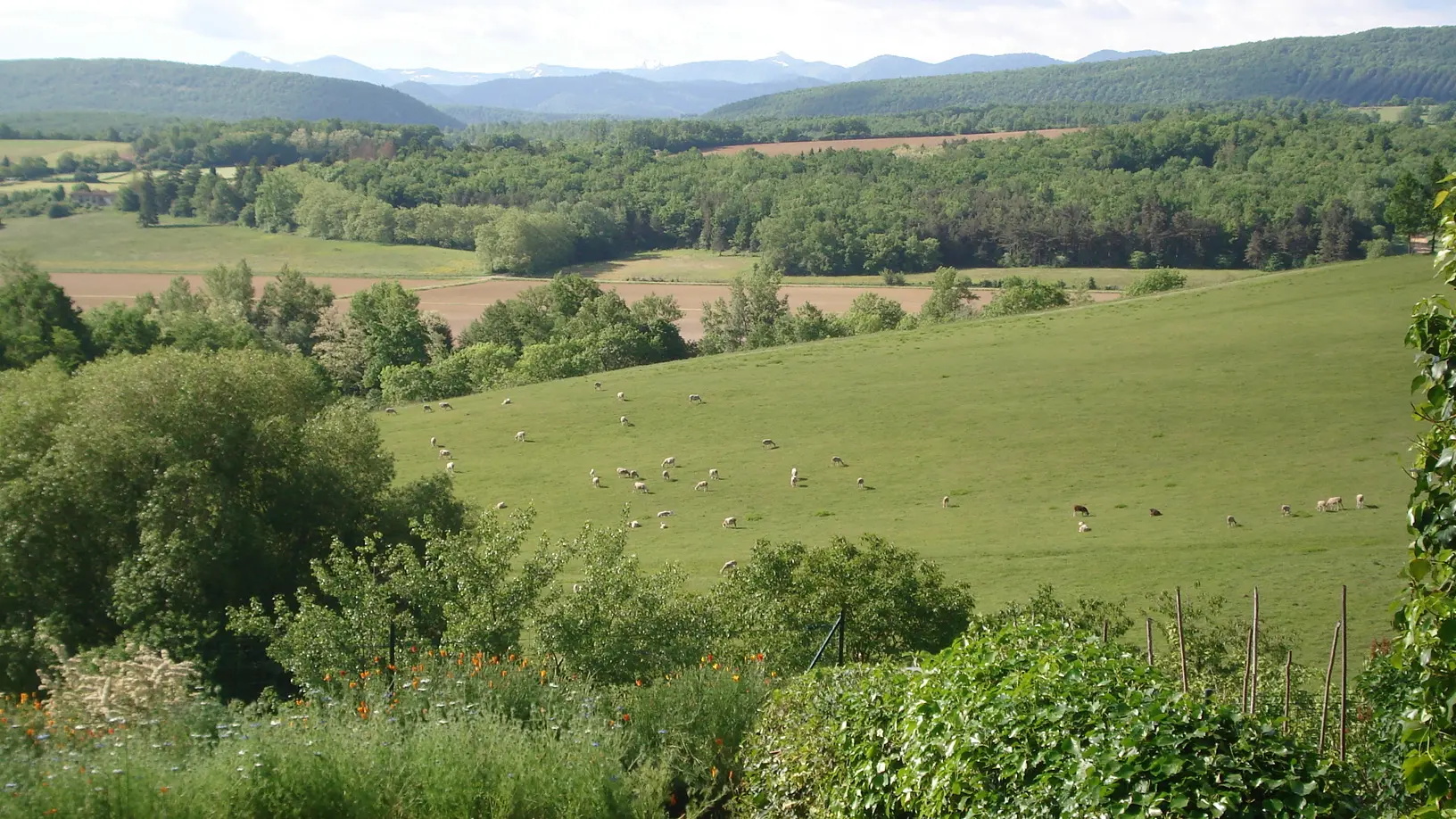 vue depuis séjour