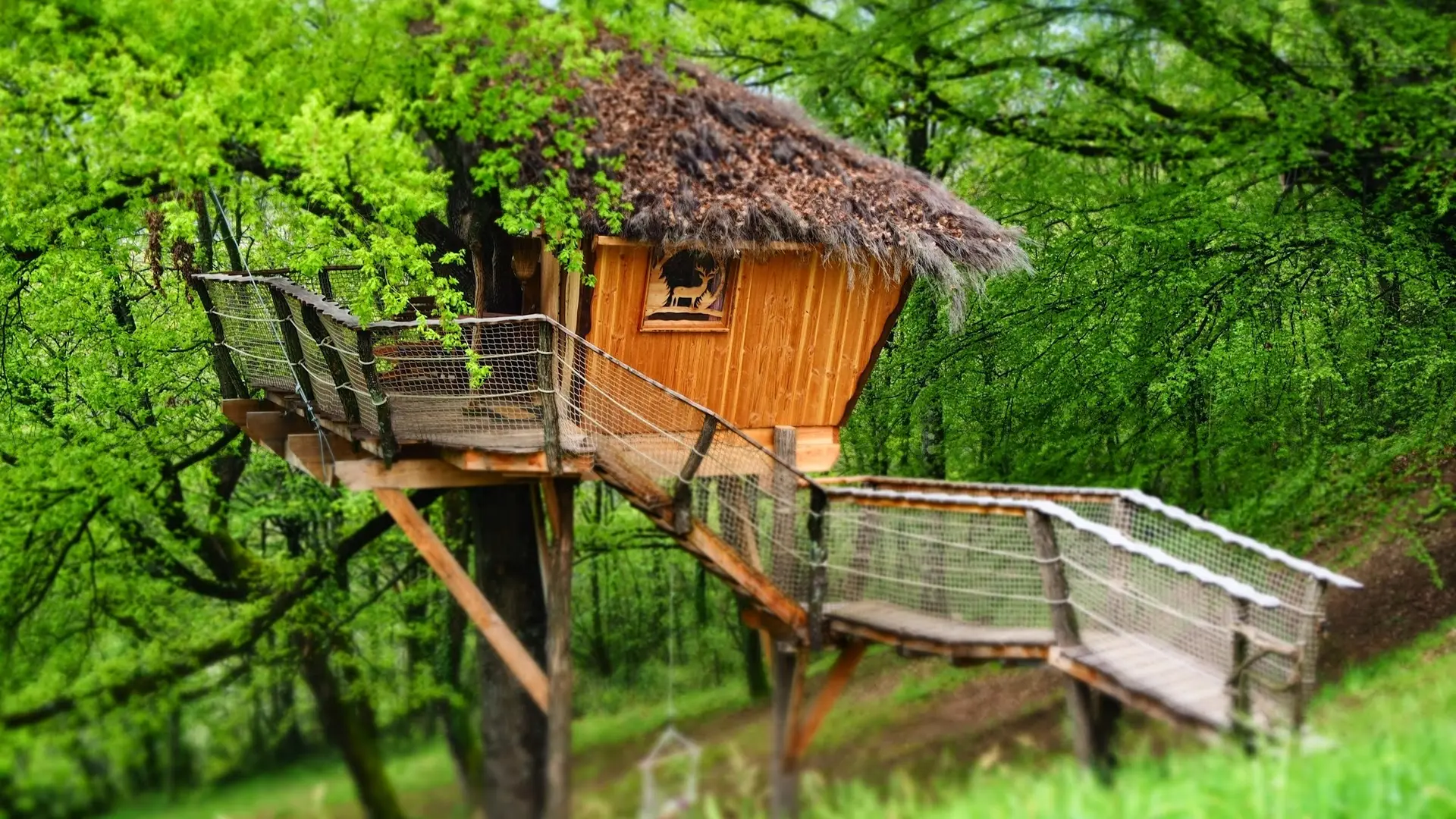 Cabane Pain d’Epices