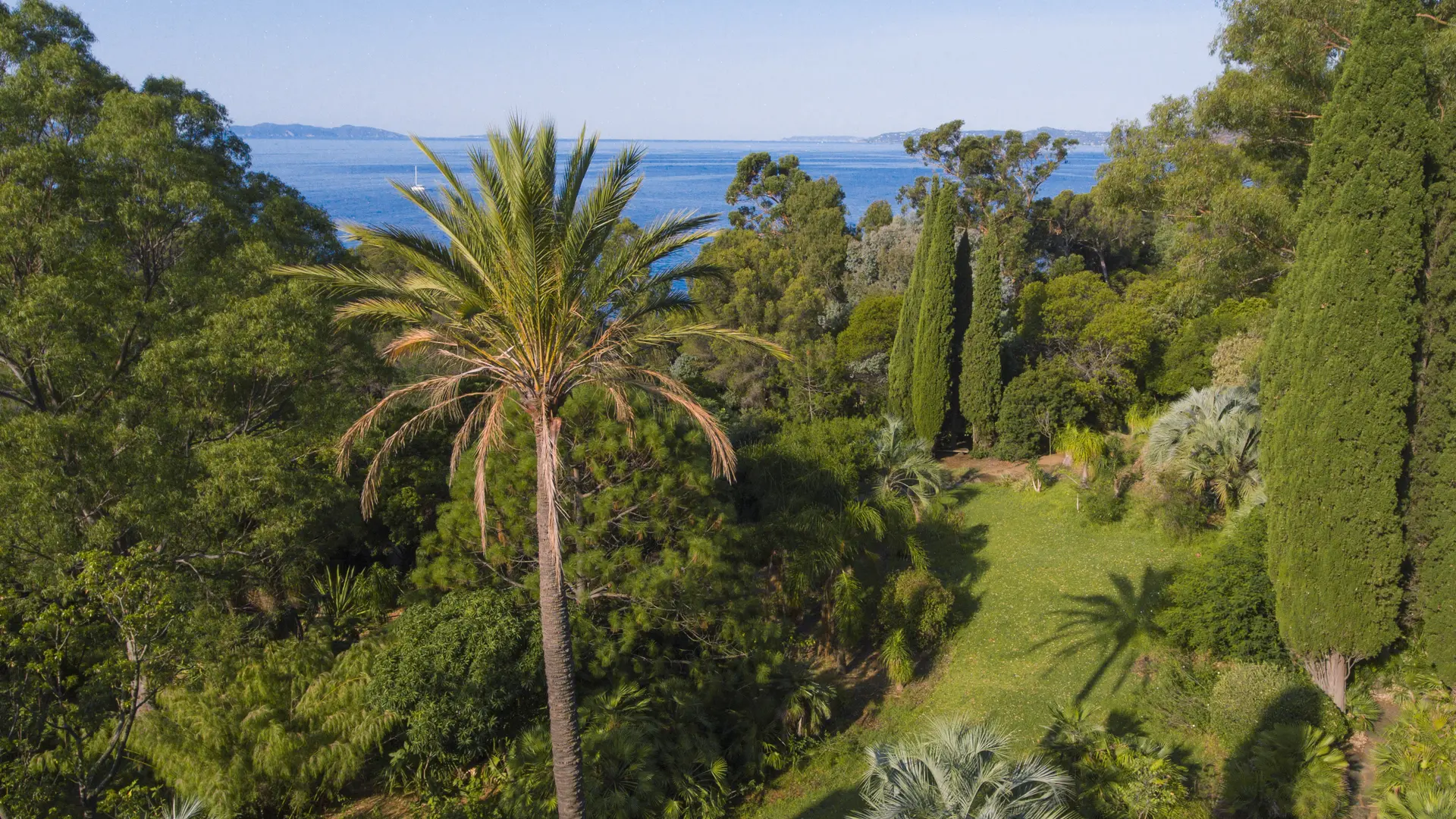 Domaine du Rayol, Jardin d'Amérique subtropicale