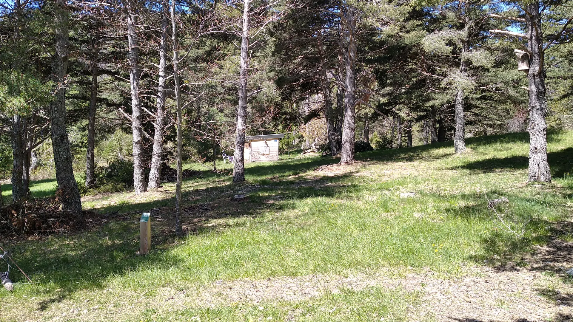 Arboretum du Cubertin