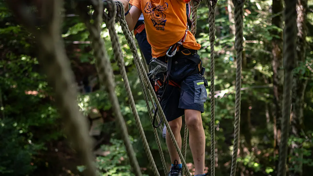 Accrobranche La Forêt des Dodes