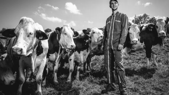 gaec des epilobes -nos vaches