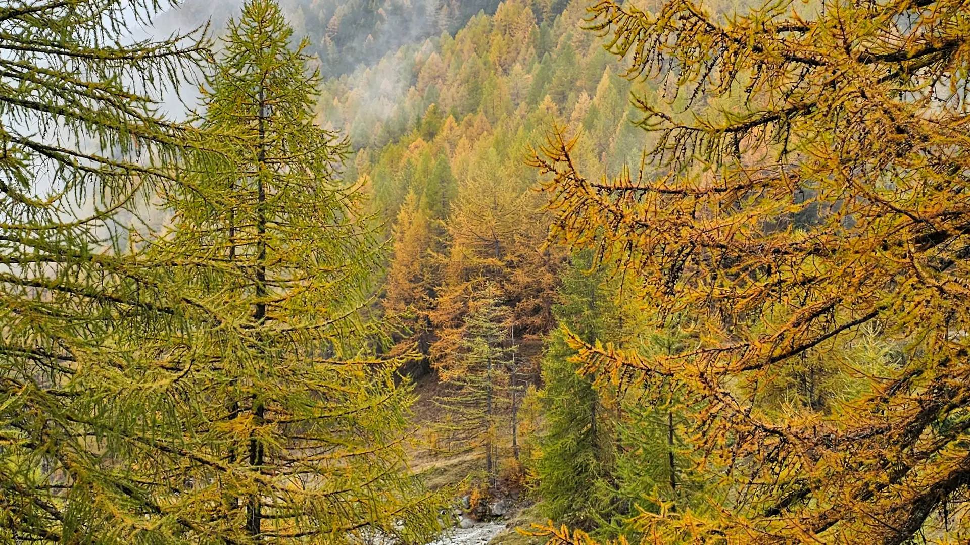Lac vert - Vallée Etroite