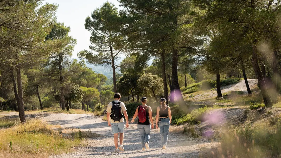 Balade la Parisienne, Velleron