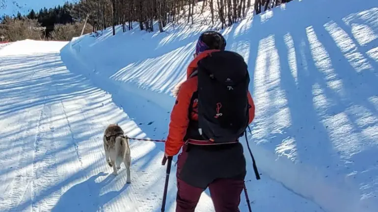 Marcheur en raquettes