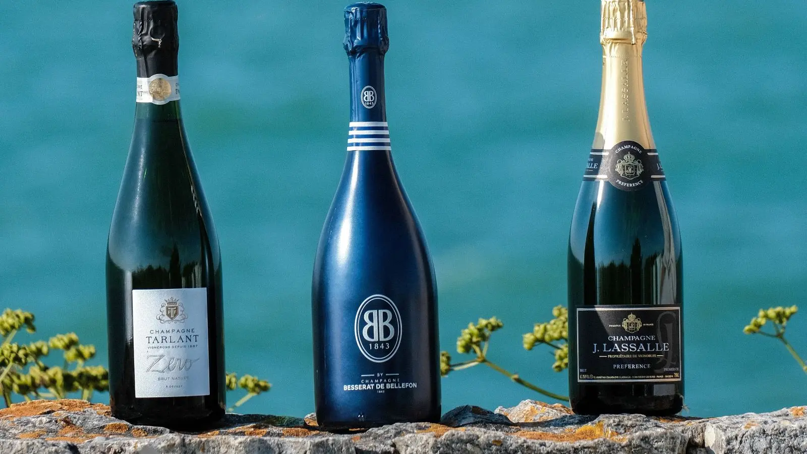 Découverte de la diversité des champagnes