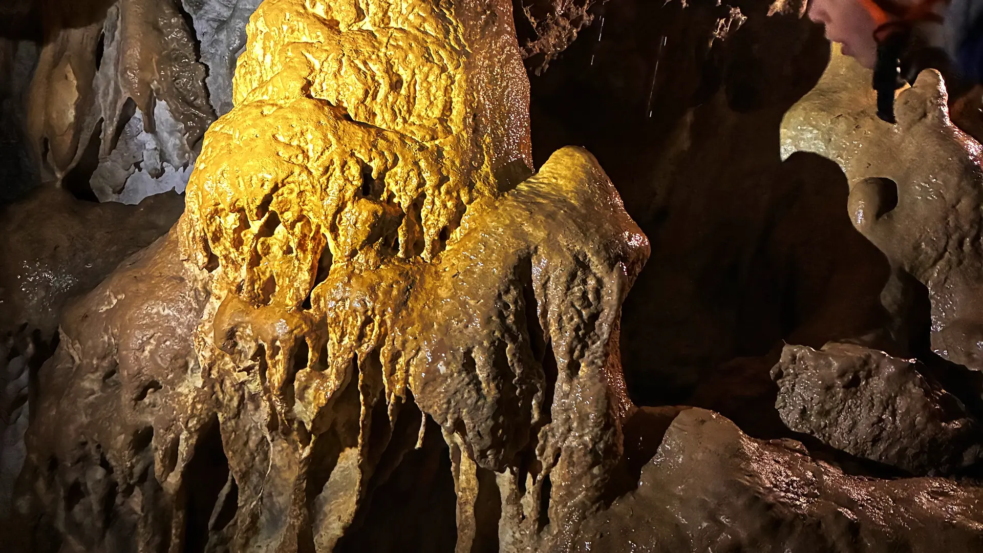Des étoiles dans les yeux, des souvenirs gravés !