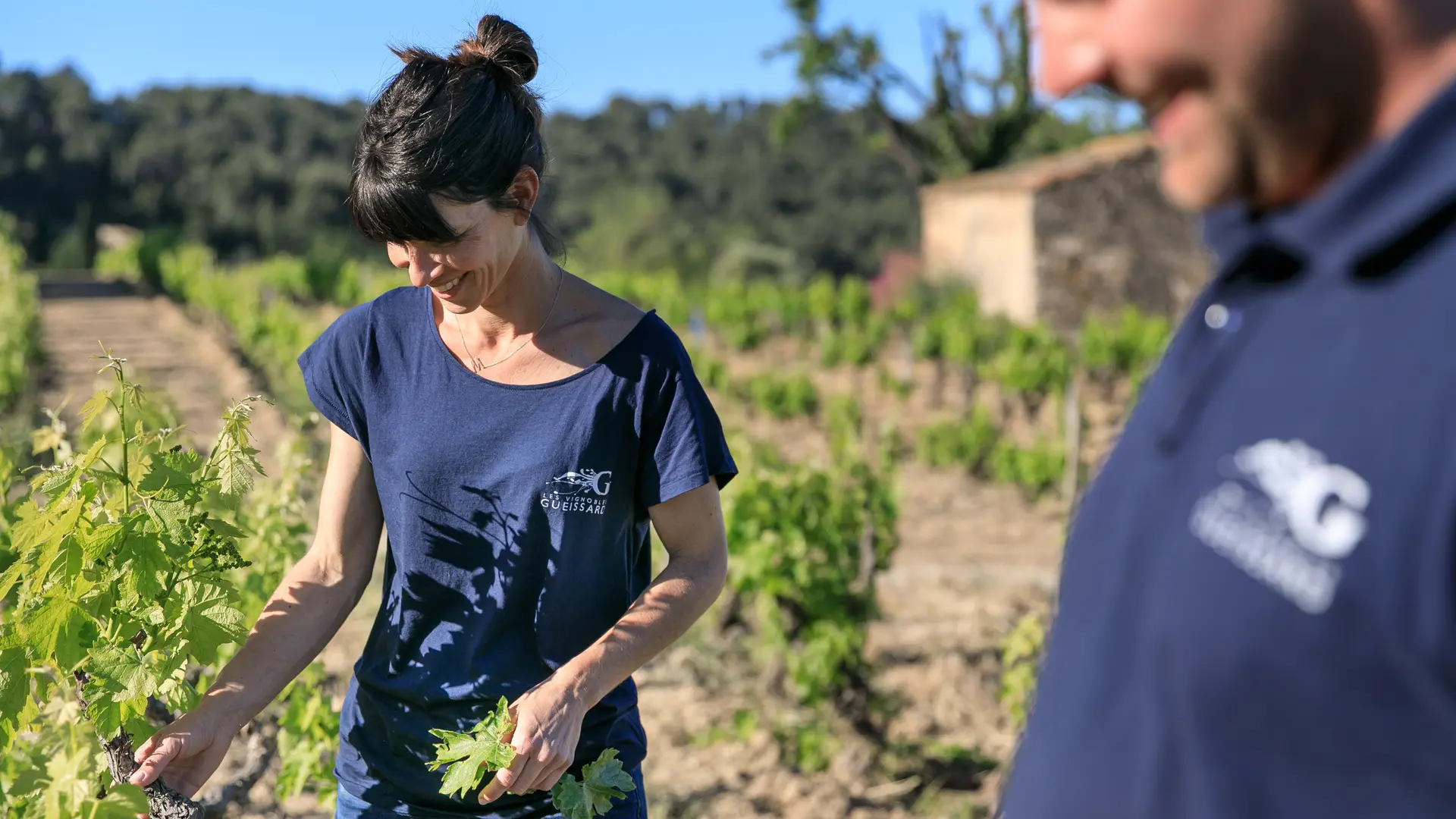 Les vignobles Gueissard