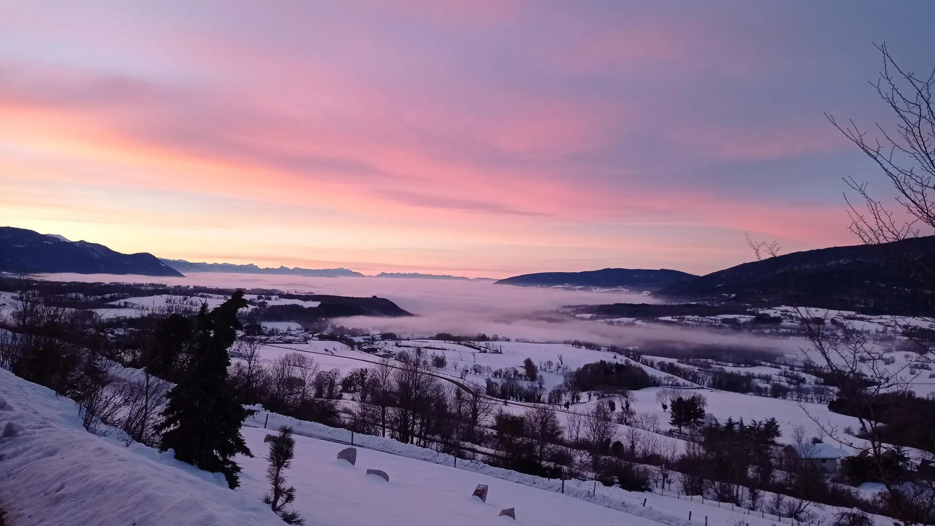 Baptême en traîneau avec Symbiose, chiens polaires