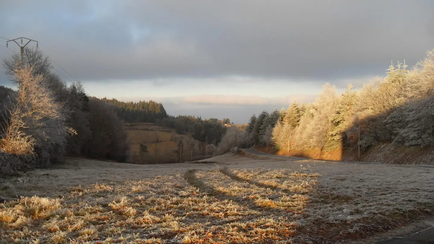 ambiance d'hiver