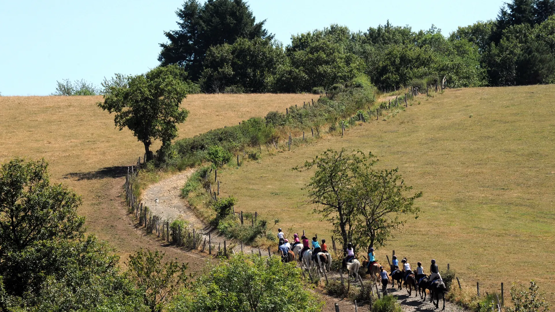 Randonnée équestre à la Guillermie