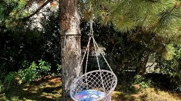 La Bonne Étoile CHORGES