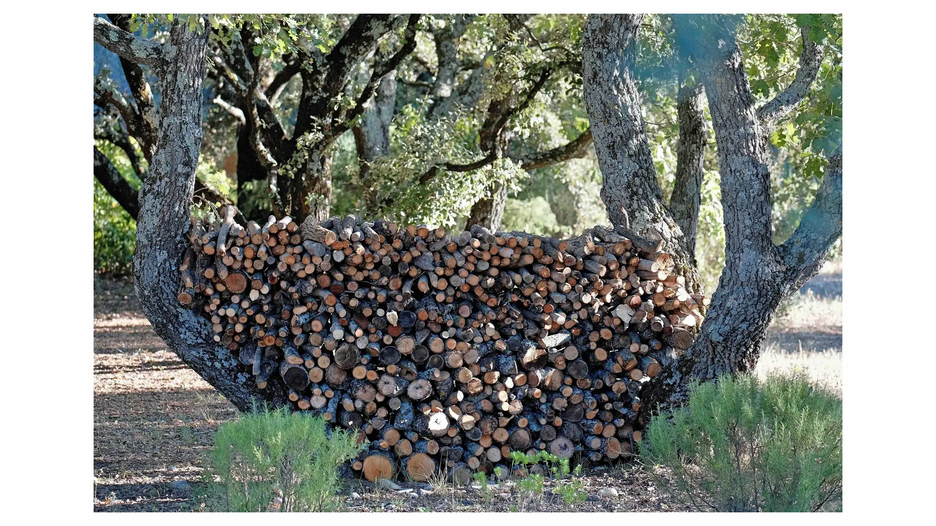 Les Jardins de Sitaara_Cucuron