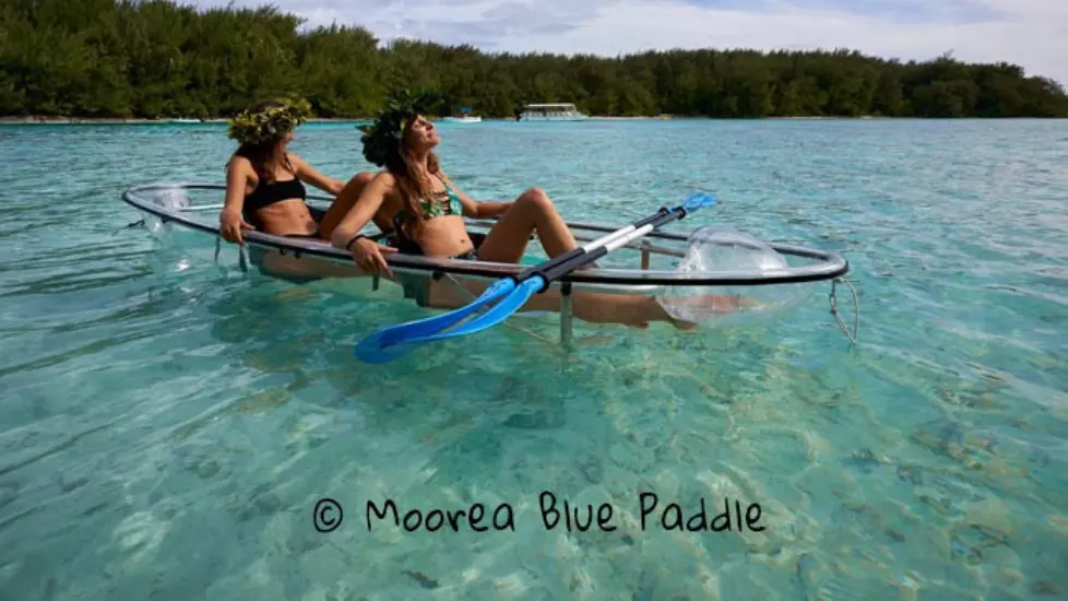 Moorea Blue Paddle & Kayak Transparents