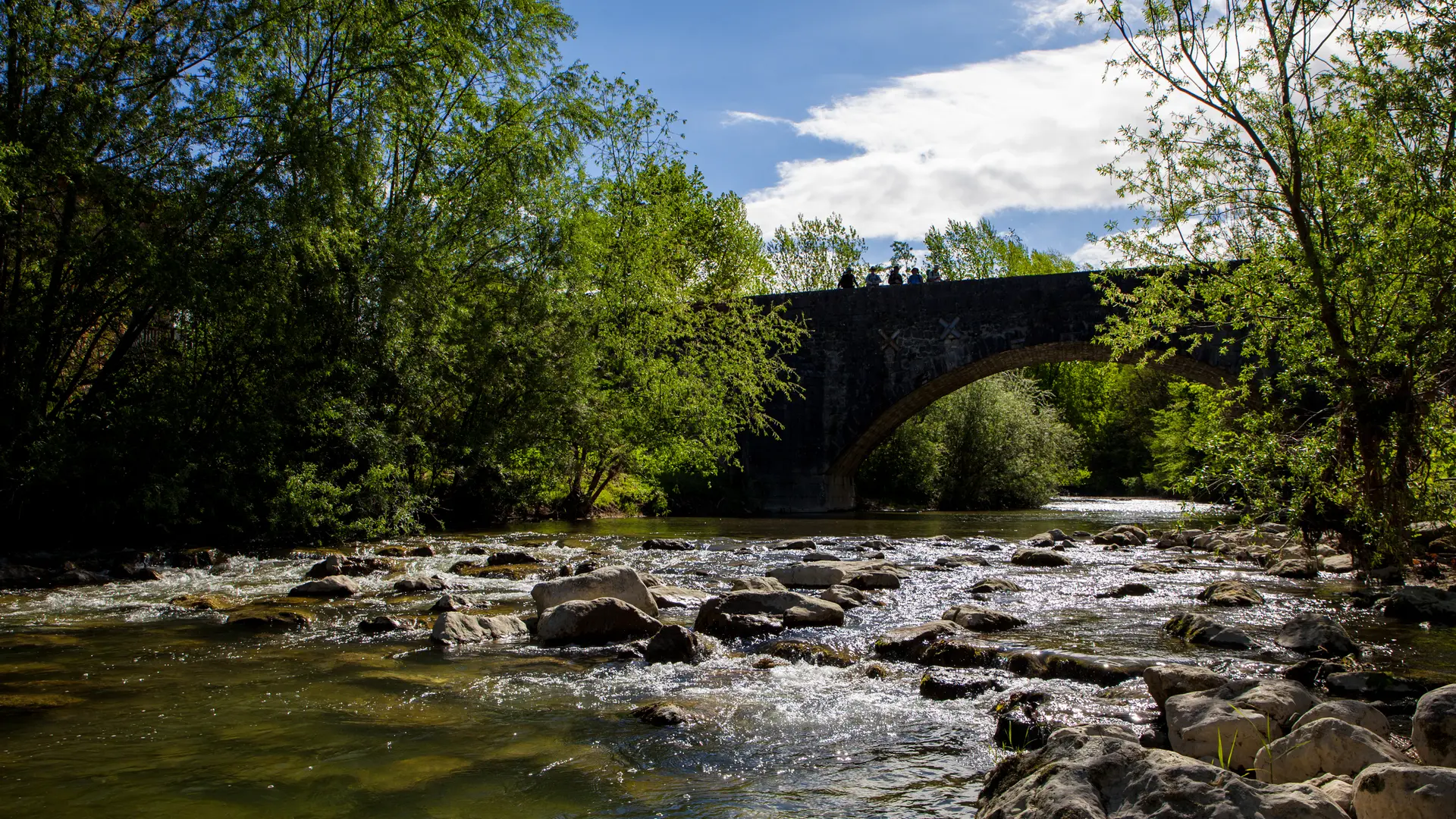 Pont des Usses