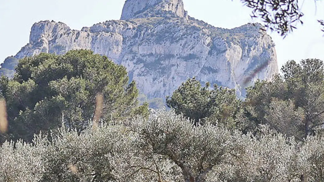 Mont Gaussier_Saint-Rémy-de-Provence