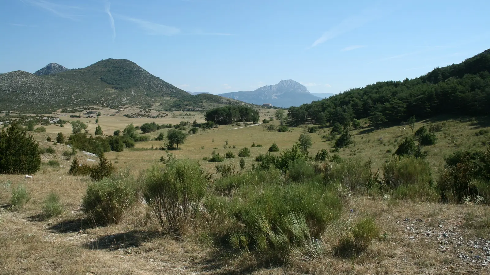 Vue depuis le gite