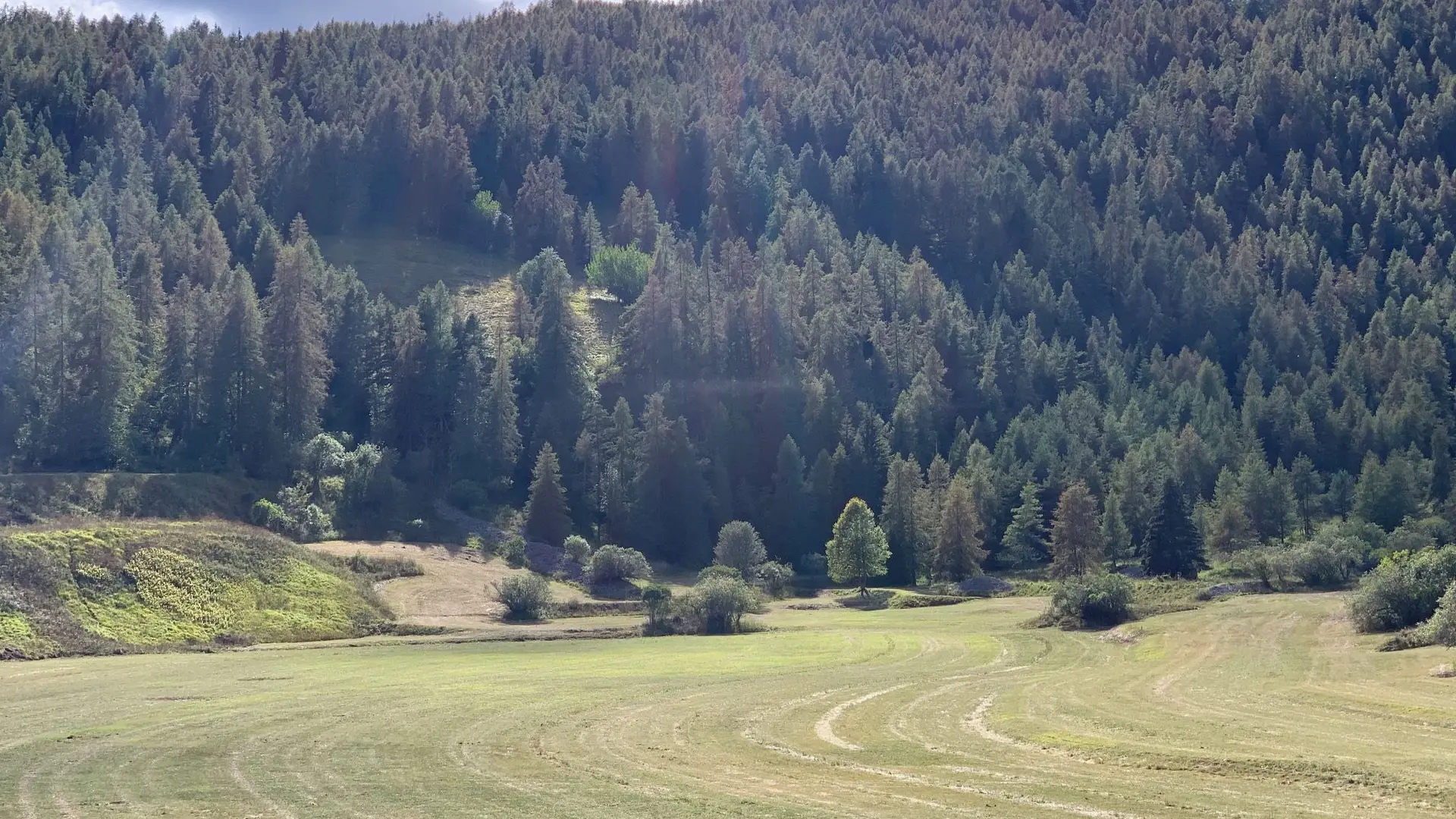 Gîte Les Castors-Prairies environnantes-Roubion-Gîtes de France des Alpes-Maritimes