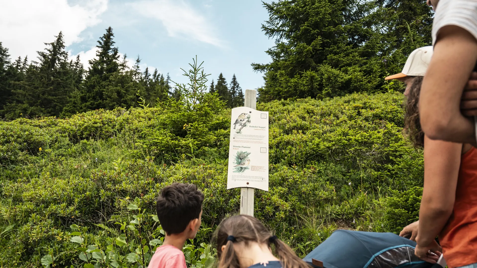 Famille qui lit un panneau du sentier des oiseaux