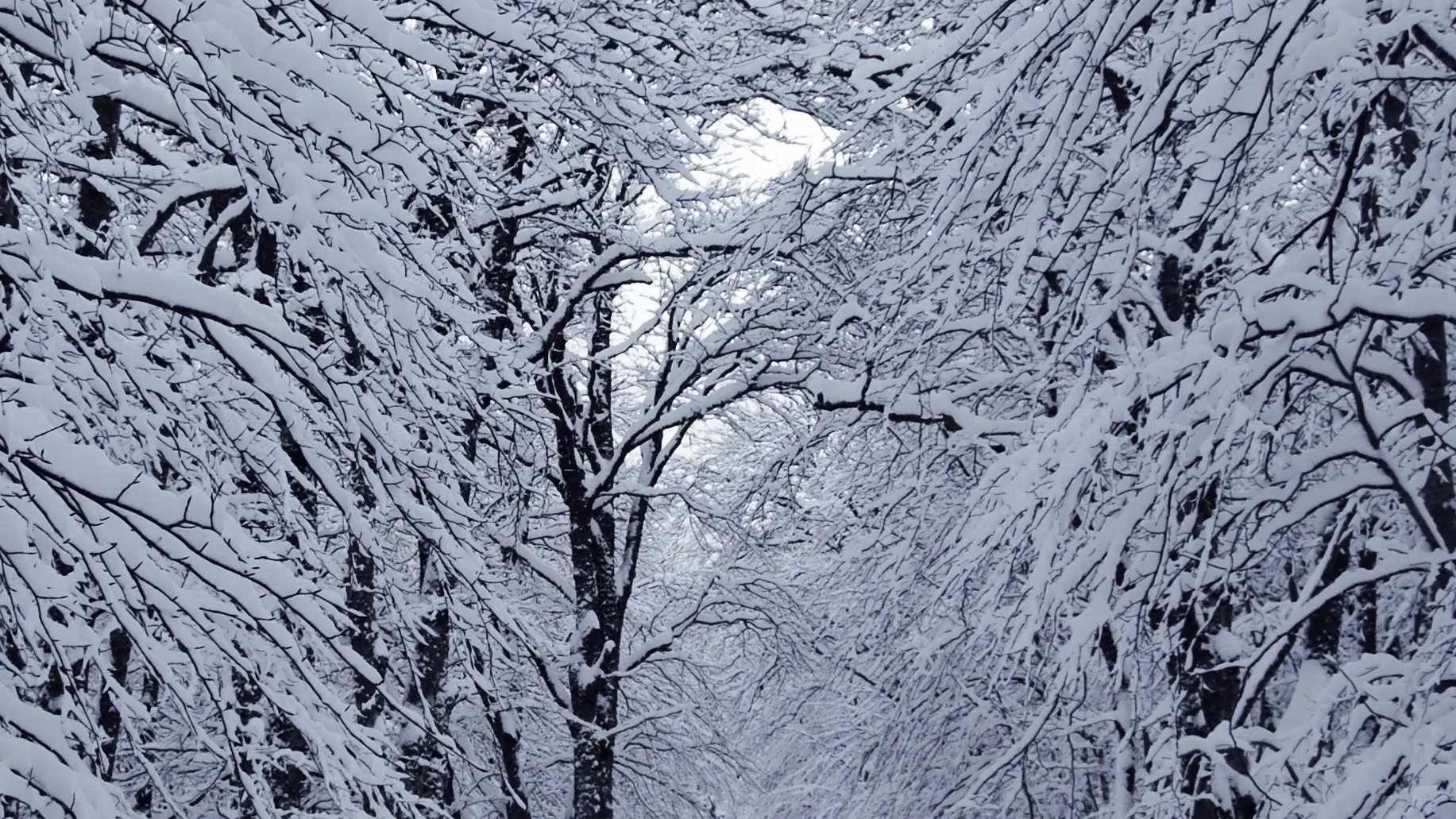 En été comme en hiver