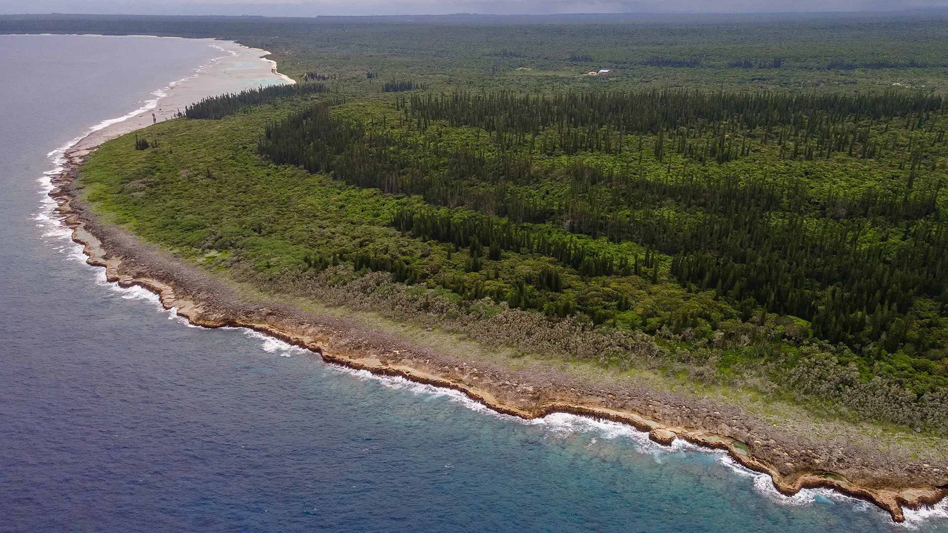 View from the sky