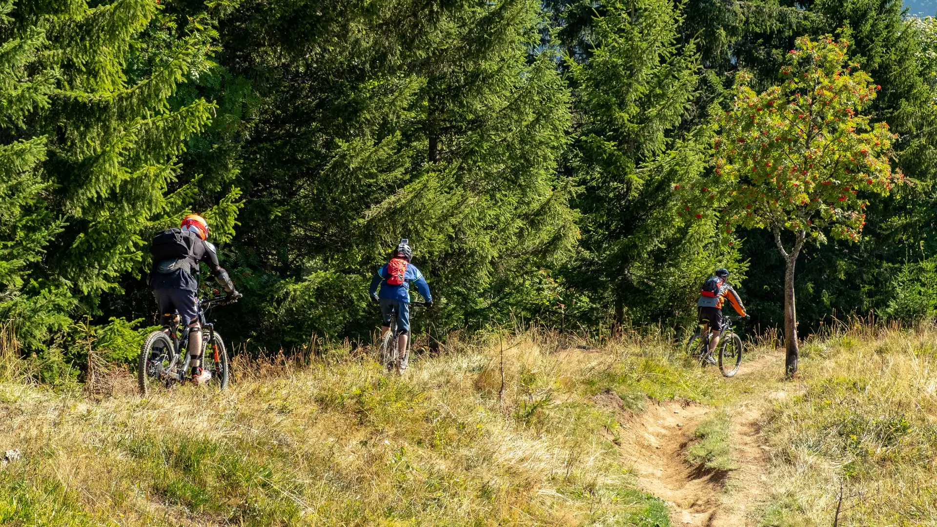 VTT dans la forêt