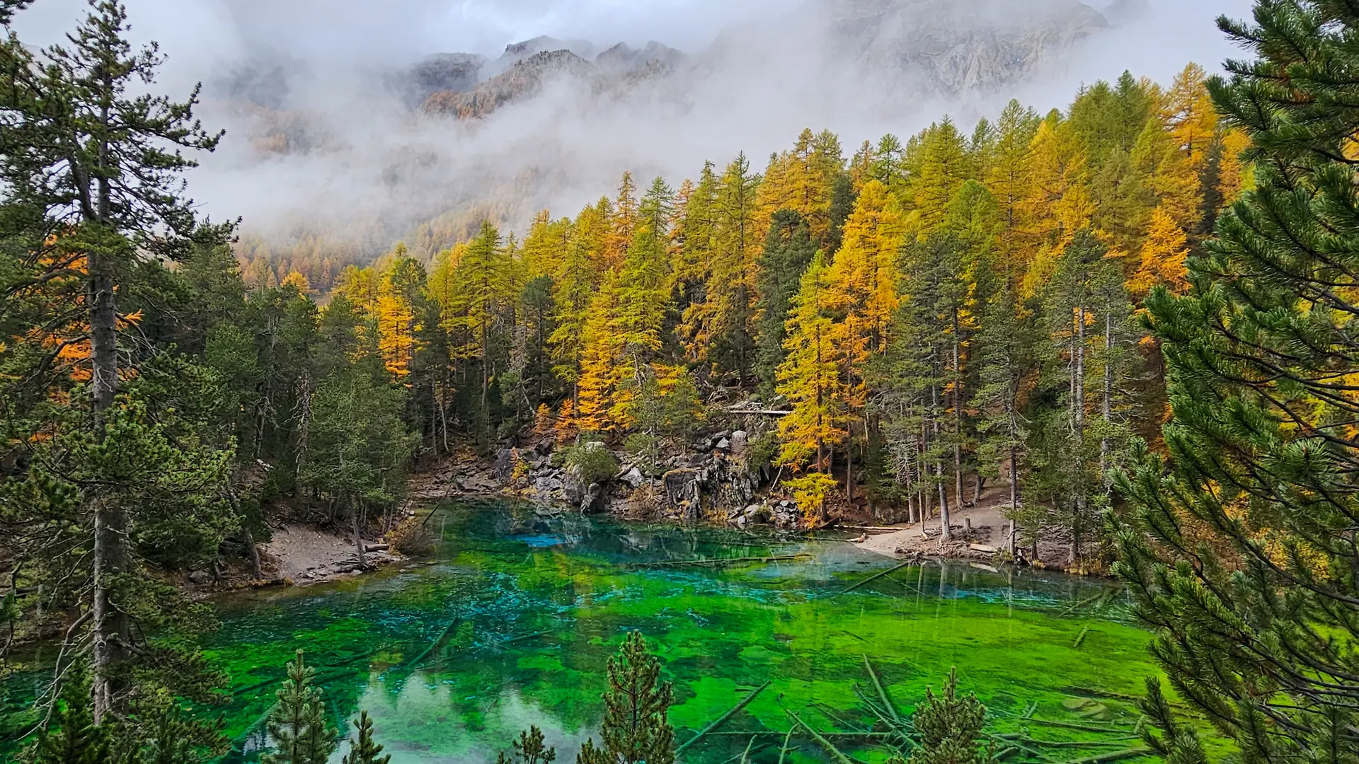 Lac vert - Vallée Etroite