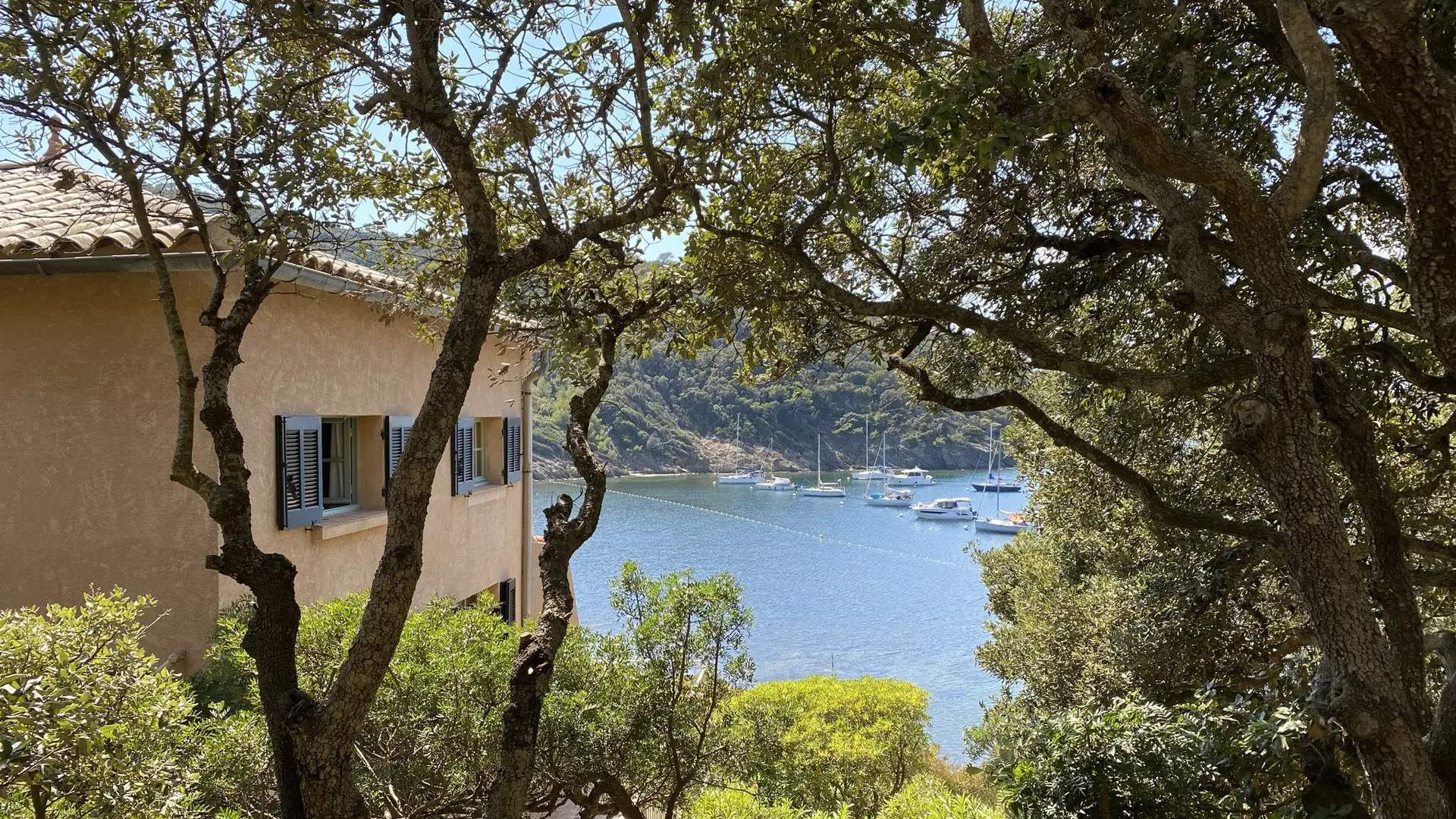 la vue depuis la terrasse dans le jardin