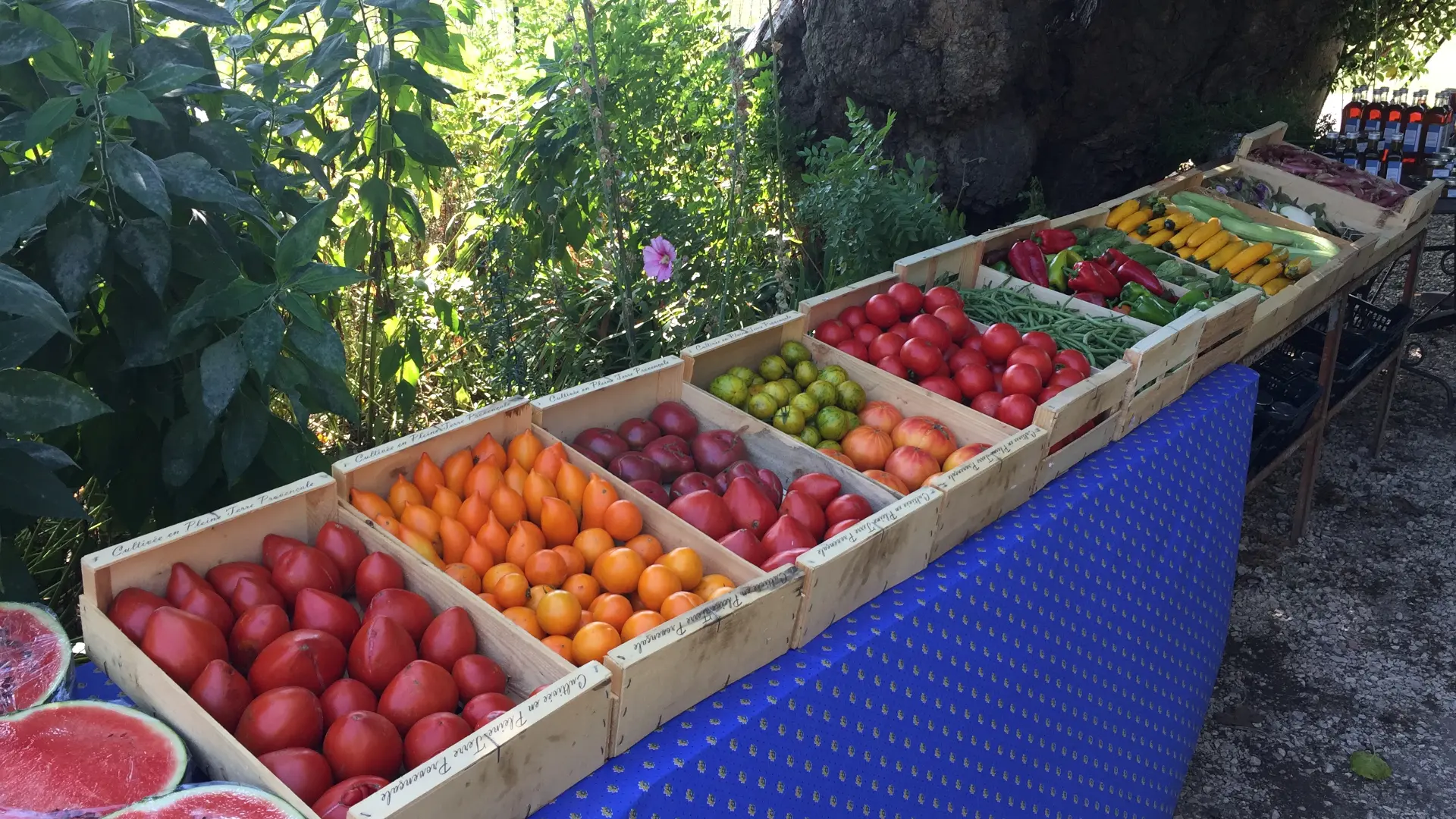 Le Cabanon de San Peyre