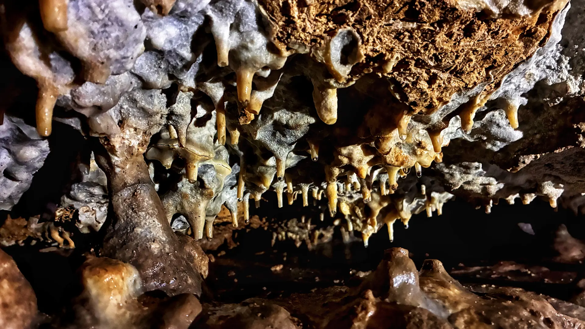 Comment se forment les concrétions ? pourquoi ? à quelle vitesse ? Découvrez les mystères des grottes !