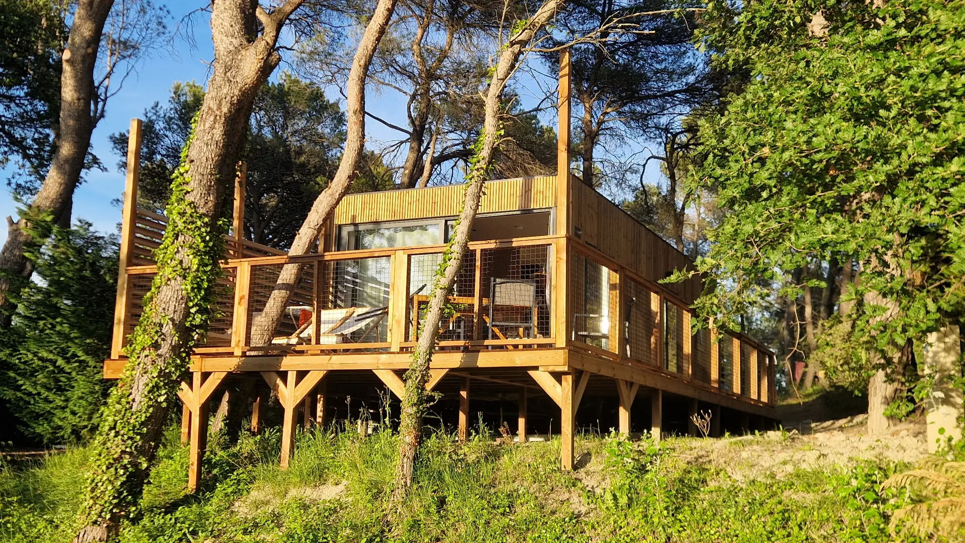 Cottage cépage vue vigne