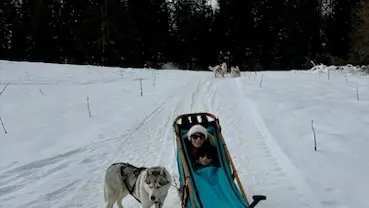Baptême en traîneau avec Symbiose, chiens polaires