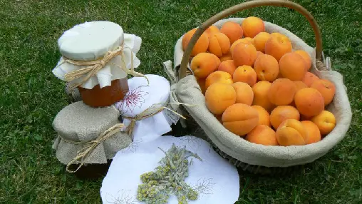 Suprême d'Abricots au Genèpi