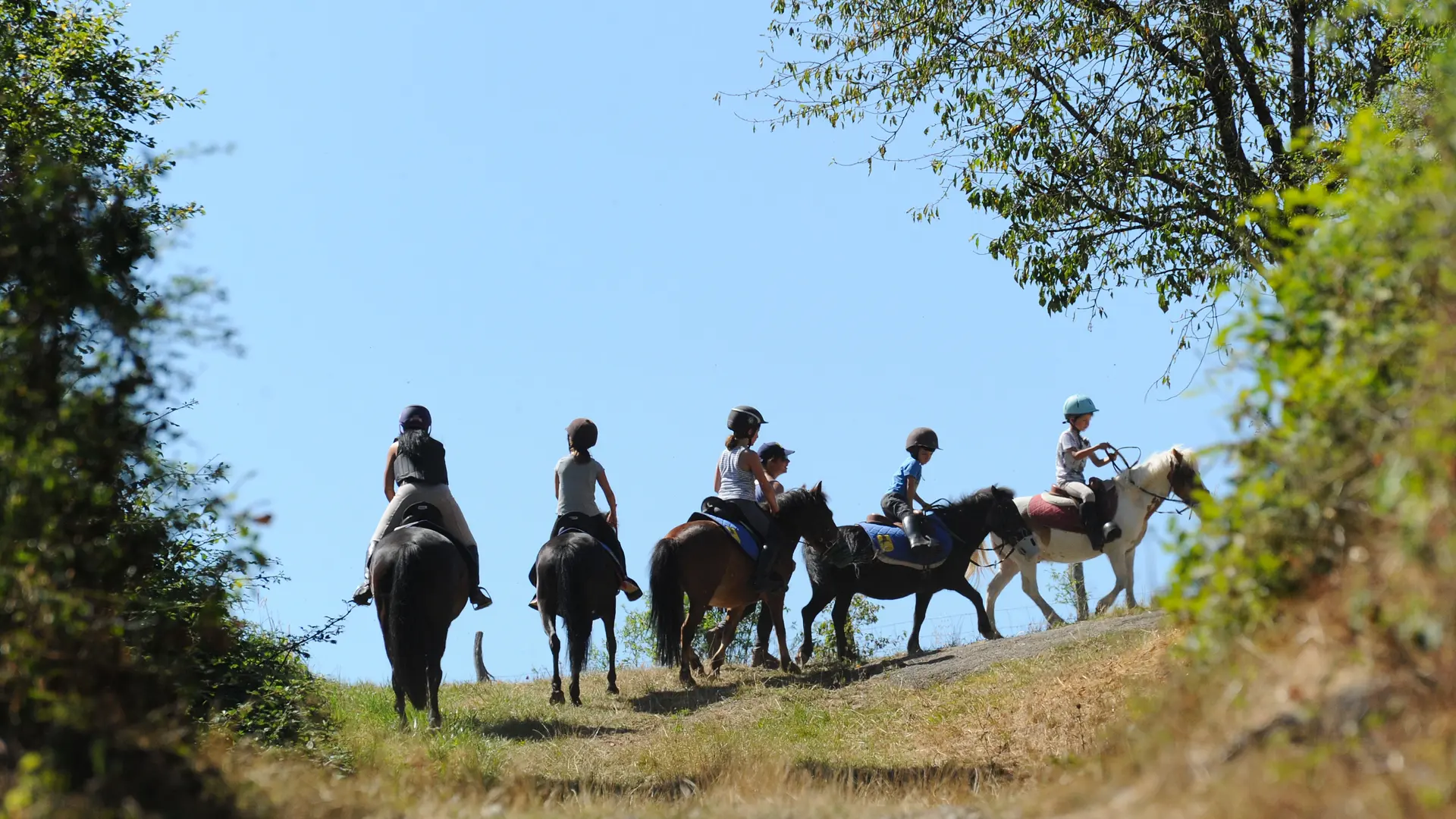 Randonnée équestre à la Guillermie