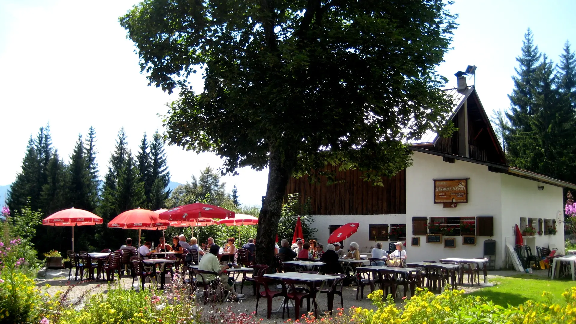 Terrasse ensoleillée