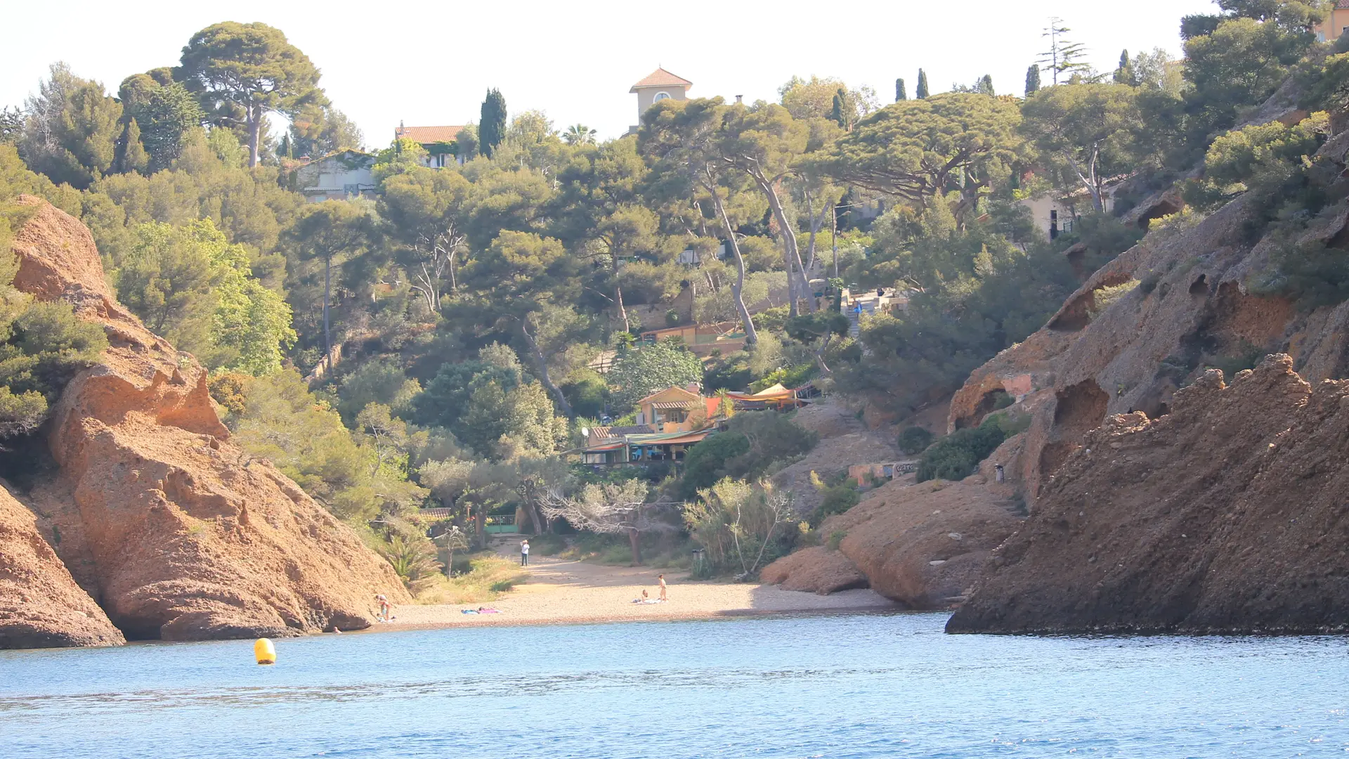 Les Amis des Calanques